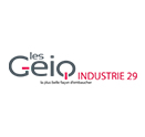 geiq-29